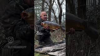 Catching a Carp at sandhurst lake  carp fishing [upl. by Soinotna]