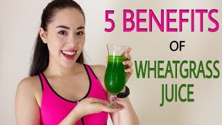 🌿 WHEATGRASS THE MIRACLE SUPERFOOD  Why We All Need To Drink Wheatgrass Juice Daily ☀️ [upl. by Nehgam]