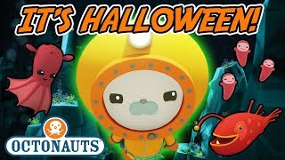 Octonauts  Its Halloween  Spooky Glowing Creatures [upl. by Luby865]