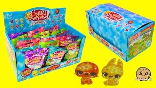 Crystal Babies Surprise Baby Pets Blind Bags Box Unboxing  Cookieswirlc Videos [upl. by Llednohs]