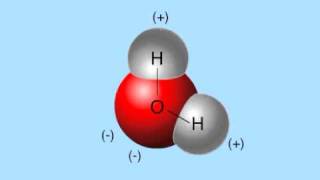 hydrogen bonds [upl. by Toney306]