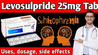 Levosulpiride tablets 25 mg in hindi  Levosulpiride 25 mg tablet  Lesuride 25 mg tablet uses 🔥🔥🔥 [upl. by Mohandis]