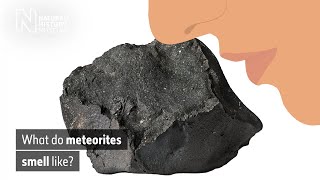 What does the Murchison meteorite smell like  Natural History Museum Audio Described [upl. by Suciram]