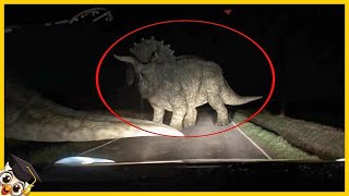 20 Dinosaurios Atrapados en la Cámara en la Vida Real [upl. by Denie884]