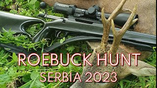 Roebuck hunt Tikka T3X 223 Rem Lov srndača Rehbock Jagd Caccia al Capriolo Srbija 2023 [upl. by Ariada]