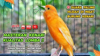 Kenari GACOR‼️ Masteran Burung Kenari PAUD dan Pancingan Kenari MACET BUNYI EPISODE 1600 [upl. by Cate]