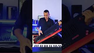 sangre malevaen keytar roland edge youtubevideo roland keytar [upl. by Ycrem]