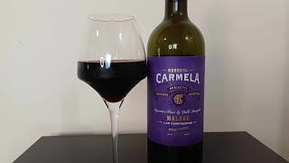 0530  Vinho Durigutti Carmela Reserva Malbec 2019 vinho vino wine [upl. by Dlorad]