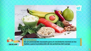 ¿Qué es esencial para el crecimiento y el cuerpo no lo produce ¡AQUÍ TE LO DECIMOS [upl. by Jaela]