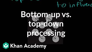 Bottomup vs topdown processing  Processing the Environment  MCAT  Khan Academy [upl. by Ange413]