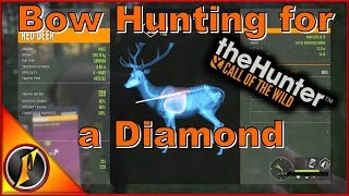 Bow Hunting for a Diamond  theHunter Call of the Wild [upl. by Sairahcaz229]