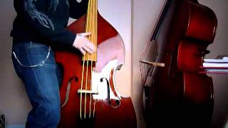 Slapping pure NylonStrings like Weedwackers on DoubleBass [upl. by Petr840]