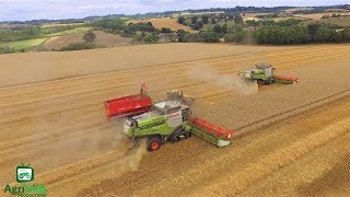 Hopkins Agriculture Wheat Harvest 2018 2x Claas Lexions 780TT [upl. by Trebmer]