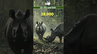 Rhino Poaching Crisis State of Rhino Report 2024 International Rhino Foundation StudyIQ IAS Hindi [upl. by Liamaj688]