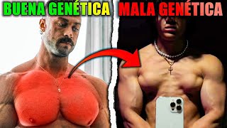 CÓMO Saber Si TENGO BUENA GENÉTICA DE PECTORAL 🤯 El Análisis [upl. by Randall435]