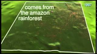 Timelapse Devastating Deforestation [upl. by Arlin975]