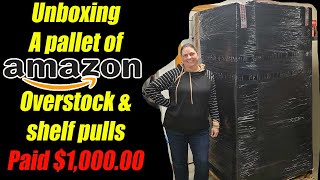 Unboxing a 100000 Pallet of Amazon Overstock and Shelf Pulls  I never know what I will Get [upl. by Hoye202]