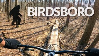 MTB at Birdsboro Preserve PA  Ramble On Pirate Jet Good Day Sunshine amp More [upl. by Eidde426]