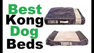 kong dog bed  Best kong dog beds [upl. by Nylra]