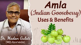 Amla uses and benefits by Dr Madan Gulati  Planet Ayurveda [upl. by Arraet]