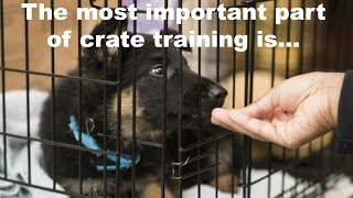 Crate Training A Puppy Schedule What Rules Apply When To Let Your Puppy Out Of The Crate [upl. by Lanti]