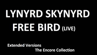 Lynyrd Skynyrd  Free Bird live extended version [upl. by Oel]