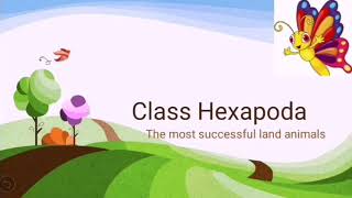 Class Hexapoda  Insects  Structure  Locomotion [upl. by Znieh]