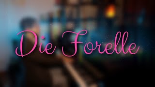 Schubert  Die Forelle piano accompaniment [upl. by Samford525]