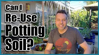 Can I Reuse Old Potting Soil in Containers  How to Revitalize Old Potting Soil [upl. by Carena152]