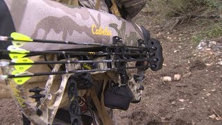 Cabelas Fortitude Compound Bow [upl. by Conrad]