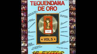 EL TEQUENDAMA DE ORO VOL 5  Varios [upl. by Mackintosh]