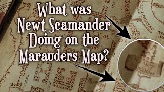 What was Newt Scamander Doing on the Marauders Map [upl. by Gnos495]