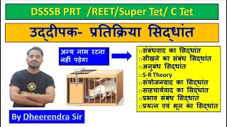 उद्दीपक अनुक्रिया सिद्धांत  stimulusresponse theory  thorndike ka uddipak anukriya siddhant [upl. by Gilboa86]