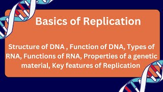 Basics of DNA Replication  Msc 2nd sem Bsc3rd sem Molecular Biology Replication csirnet [upl. by Anir719]