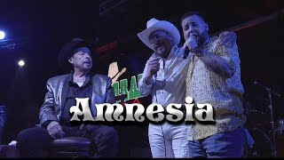 Los Traileros Del Norte Arnulfo Jr y Arnulfo III  Amnesia En Vivo [upl. by Amethist]