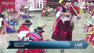 FESTI DANZA 2018  GALA TUSUY Ayacucho [upl. by Kaz251]