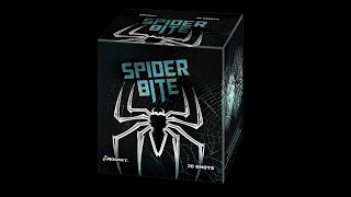 SPIDER BITE by Rocket Fireworks Toronto Canada [upl. by O'Toole419]