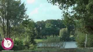 Falkensteinsee Camping amp Ferienpark Imagefilm HD [upl. by Sergent33]