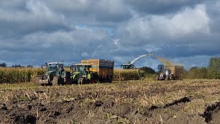 ensilage de maïs 2023 conditions extrême [upl. by Charil]