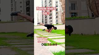 Planche Day6 planche pov calisthenics shorts youtube pushups strength pullups abs [upl. by Brighton]