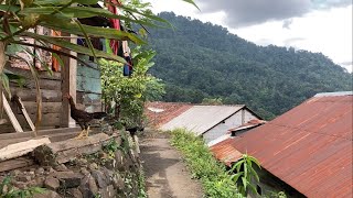 It turns out that this is the atmosphere of a rural village in Central Java Indonesian village [upl. by Nor]