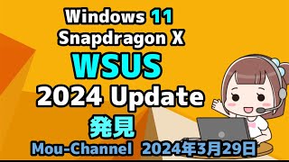 Windows 11●Snapdragon X●WSUS●2024 Update●発見 [upl. by Roanna]