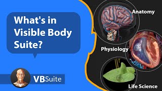 Visible Body Suite Our Complete Collection of Anatomy Physiology and Life Science Content [upl. by Orren]