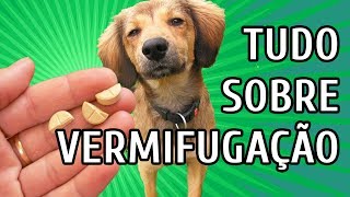 VERMIFUGAÇÃO DE CÃES FILHOTES E ADULTOS  REMÉDIO DE VERME [upl. by Euqinamod741]