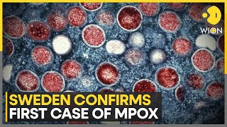 First Mpox infection case outside Africa all the way in Sweden  WION [upl. by Terese]