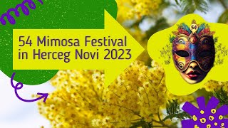 54 Mimosa Festival in Herceg Novi 2023 Montenegro [upl. by Niawat55]