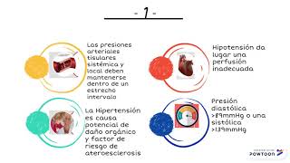 Vasos sanguíneos Parte 4 Patología de Robbins [upl. by Cul]