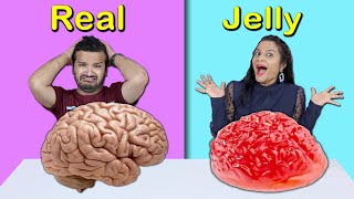 Real Vs Jelly Food Food Challenge  Food Challenge India  Hungry Birds [upl. by Alolomo]