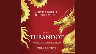 Puccini Turandot  Act 3  Tu che di gel sei cinta [upl. by Maroj]