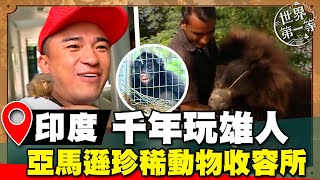 【世界大尋奇】印度千年玩雄人肉搏兇猛黑熊 亞馬遜動物收容所 狂暴蜘蛛猴與世界迷你小絨猴｜《世界第一等》濃縮精華版 [upl. by Nelak]